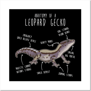 Lavender Stripe Leopard Gecko Lizard Reptile Anatomy Posters and Art